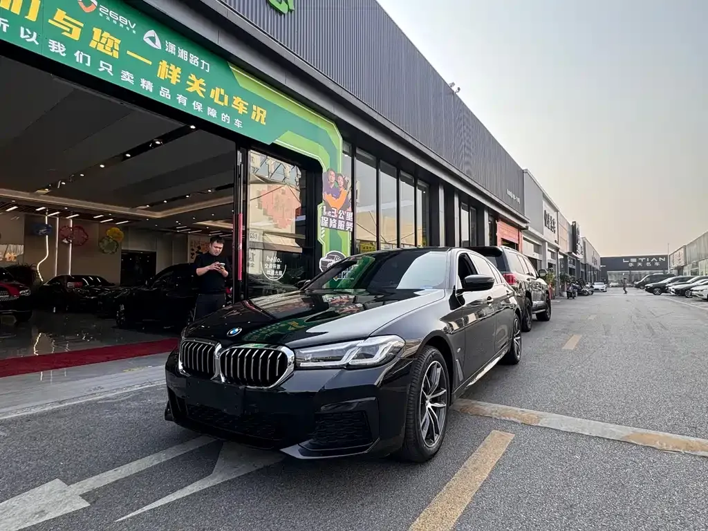 BMW 5 Series 2022 из CN, фото 6