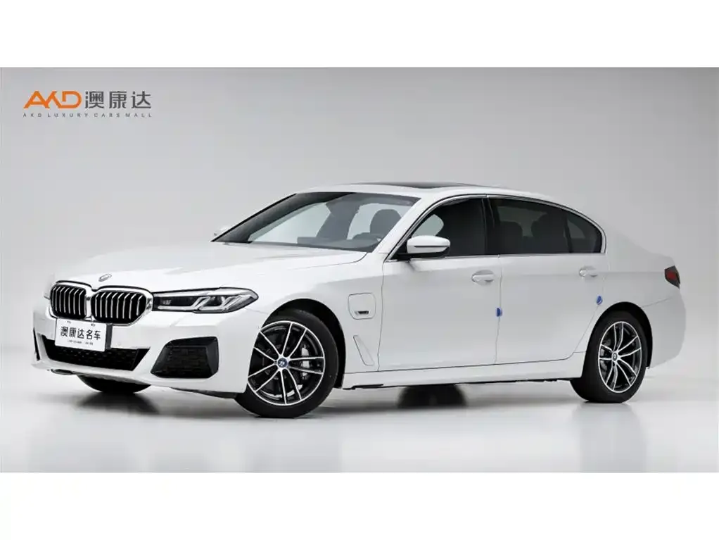 BMW 5 Series New Energy 2022 из CN, фото 1
