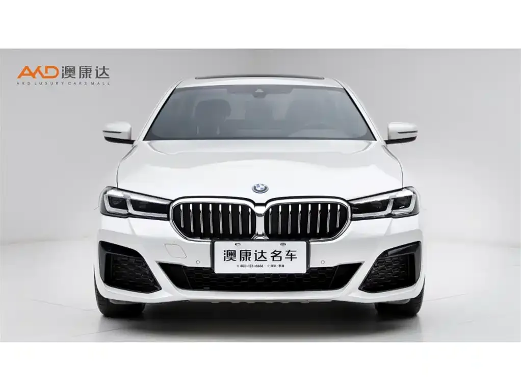 BMW 5 Series New Energy 2022 из CN, фото 6