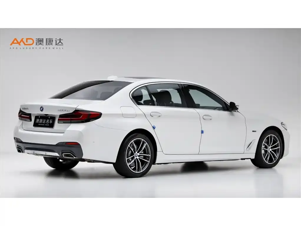 BMW 5 Series New Energy 2022 из CN, фото 3