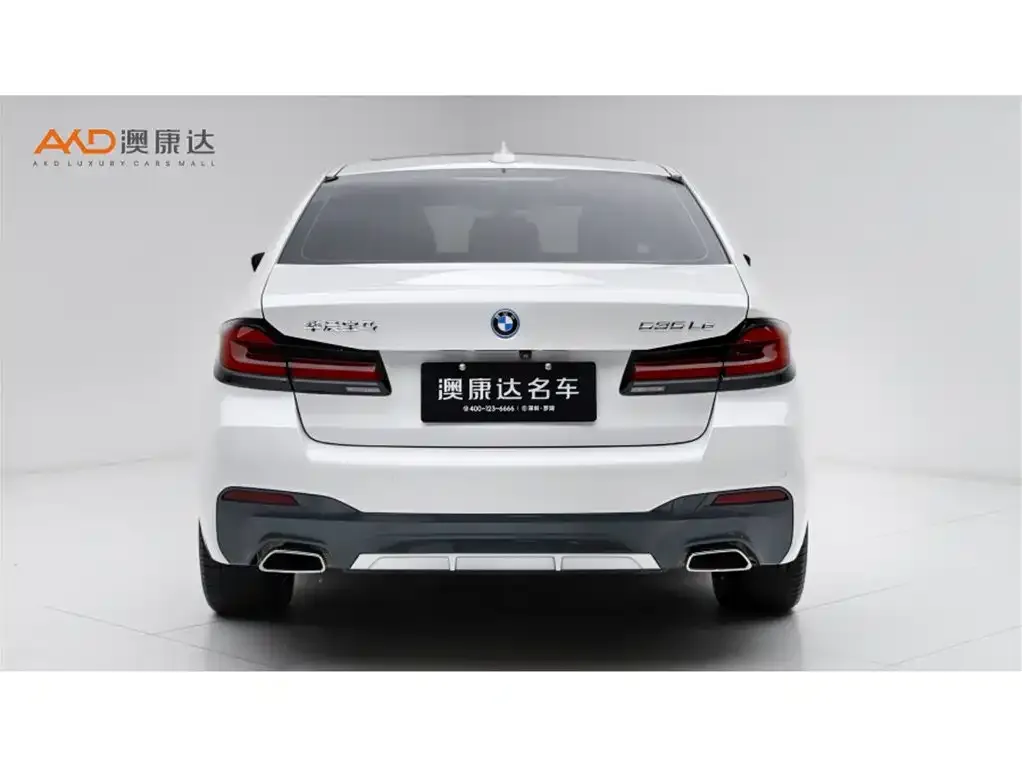 BMW 5 Series New Energy 2022 из CN, фото 2