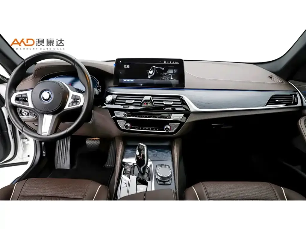 BMW 5 Series New Energy 2022 из CN, фото 9