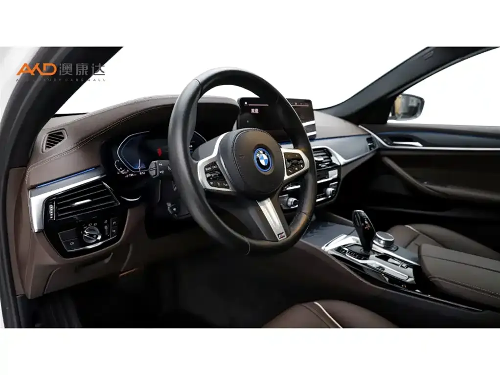 BMW 5 Series New Energy 2022 из CN, фото 10
