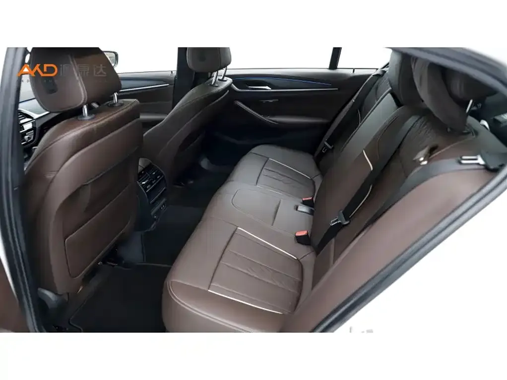 BMW 5 Series New Energy 2022 из CN, фото 4