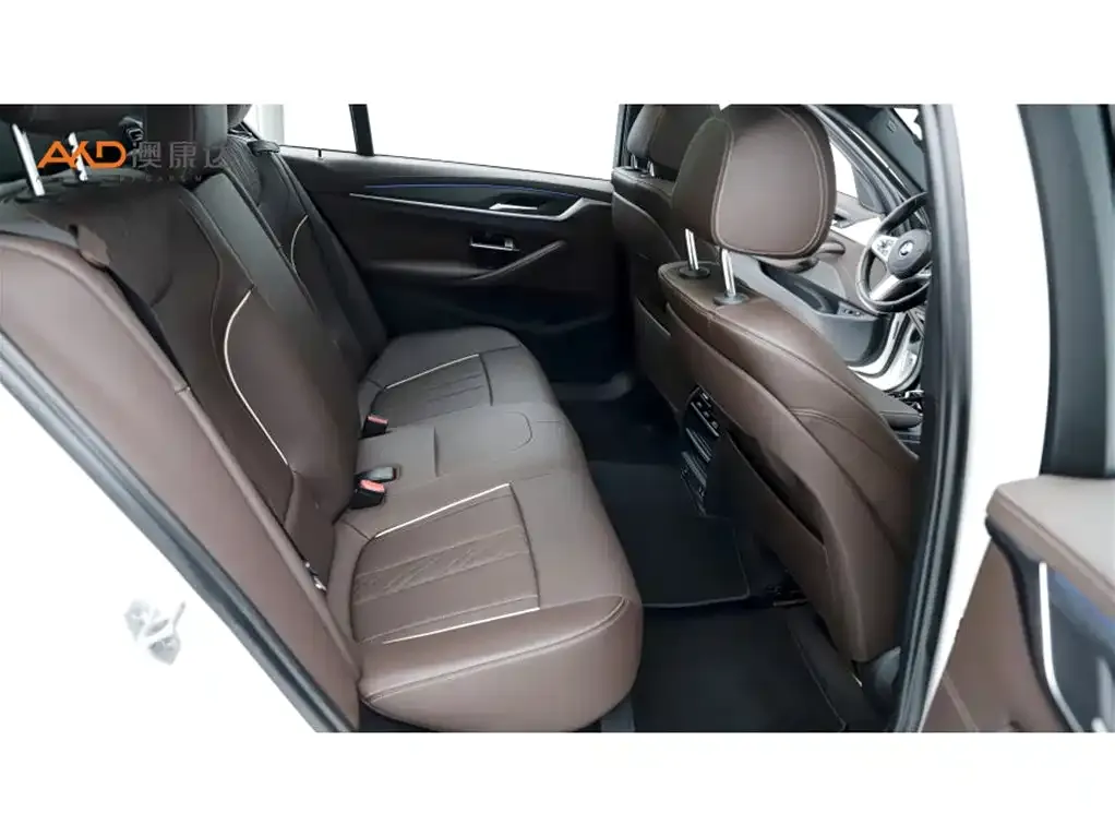BMW 5 Series New Energy 2022 из CN, фото 8
