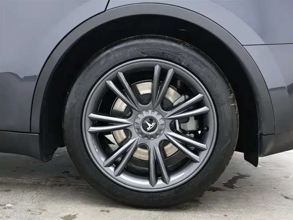 Tesla Model Y 2024 из CN, фото 9