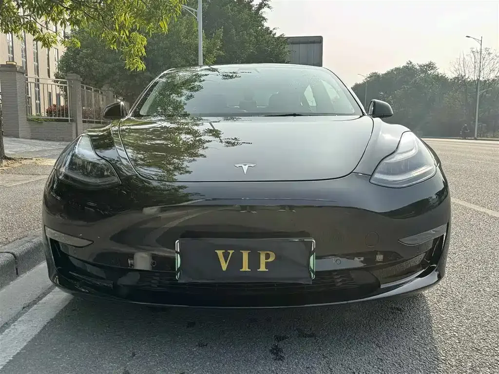Tesla Model 3 2021 из CN, фото 10