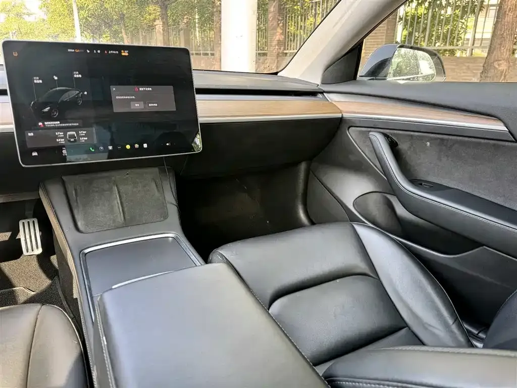 Tesla Model 3 2021 из CN, фото 5