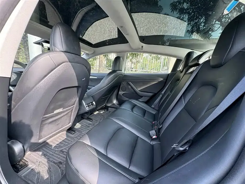Tesla Model 3 2021 из CN, фото 3