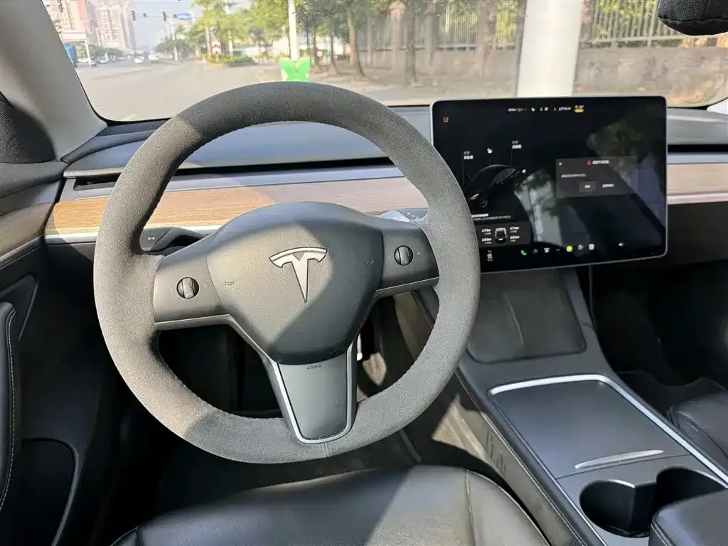 Tesla Model 3 2021 из CN, фото 2