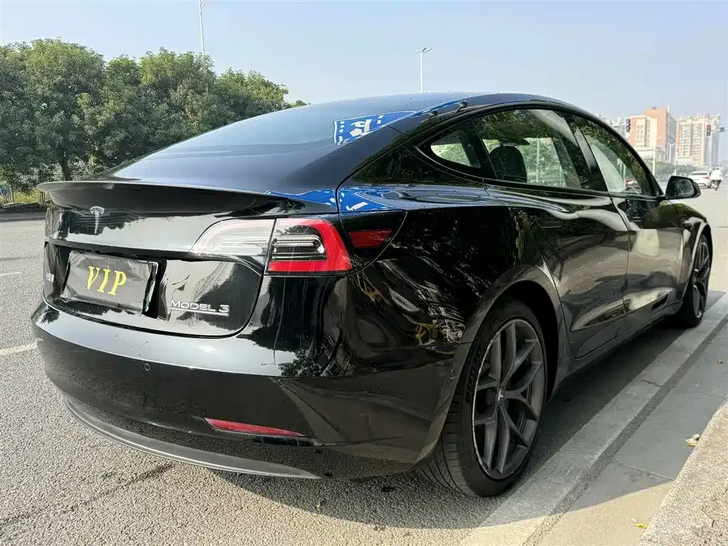 Tesla Model 3 2021 из CN, фото 8