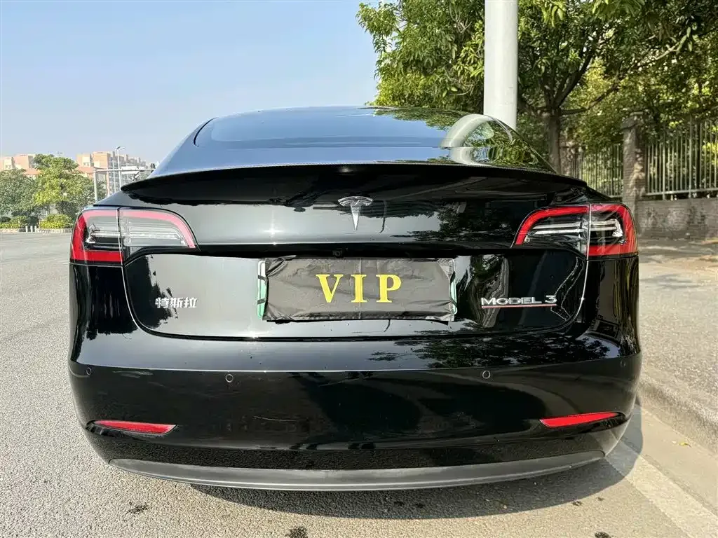 Tesla Model 3 2021 из CN, фото 7