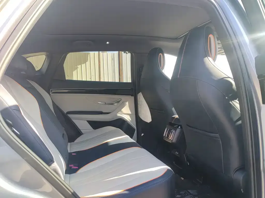 BYD PLUS New Energy 2022 из CN, фото 4