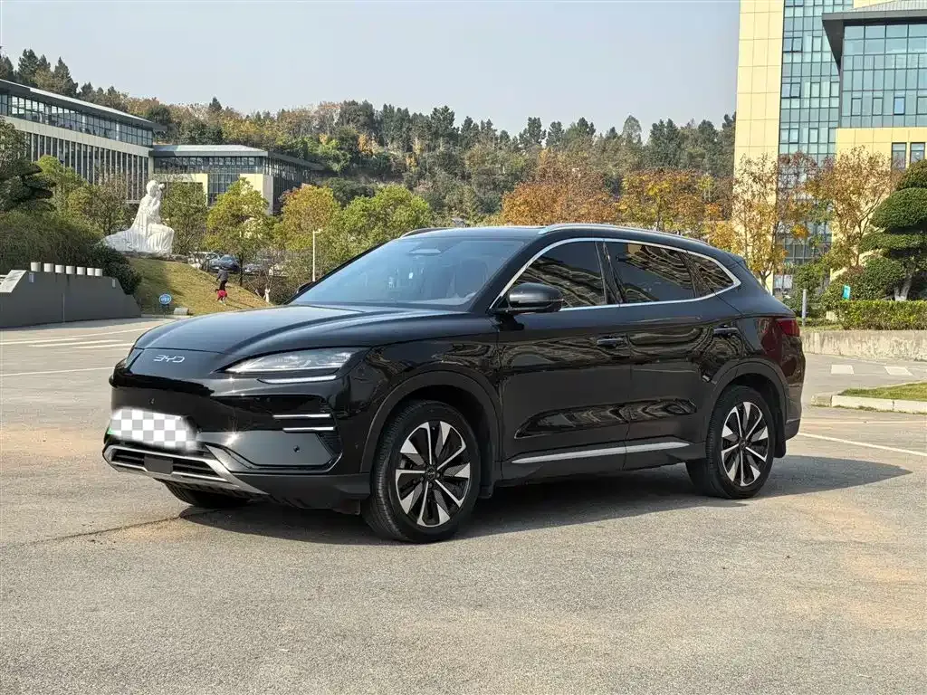 BYD PLUS New Energy 2025 из CN, фото 1