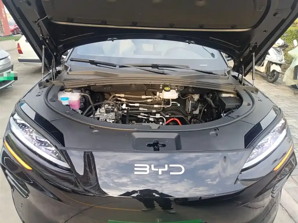 BYD PLUS New Energy 2025 из CN, фото 10