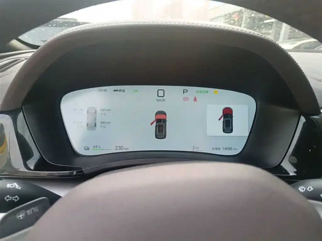 BYD PLUS New Energy 2025 из CN, фото 4