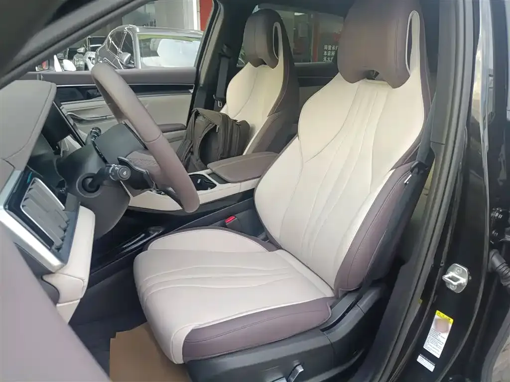 BYD PLUS New Energy 2025 из CN, фото 7