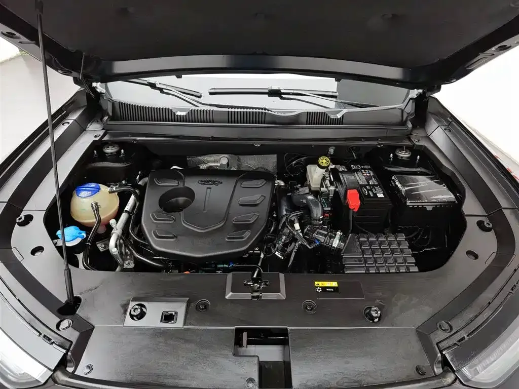 Jetour Dasheng 2023 из CN, фото 6