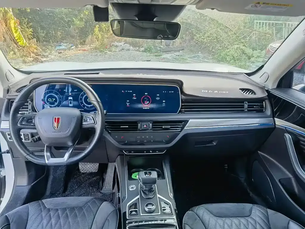 Hongqi HS5 2023 из CN, фото 7