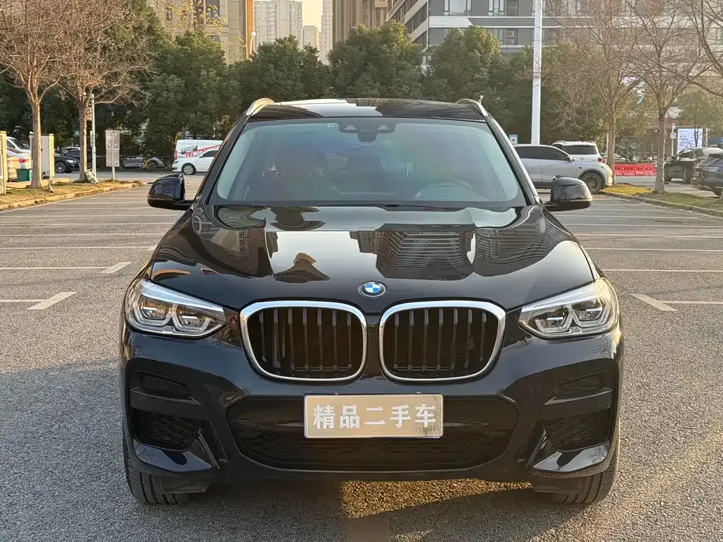 BMW X3 2021 из CN, фото 6