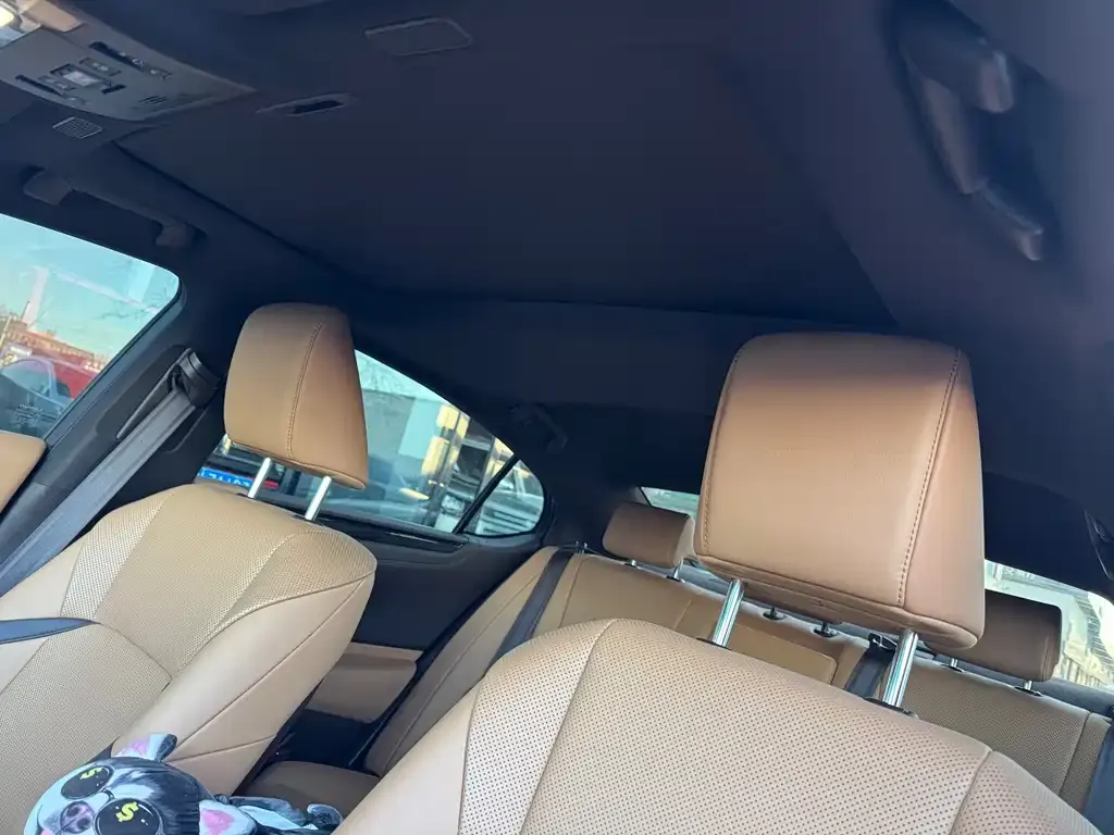 Lexus ES 2021 из CN, фото 5