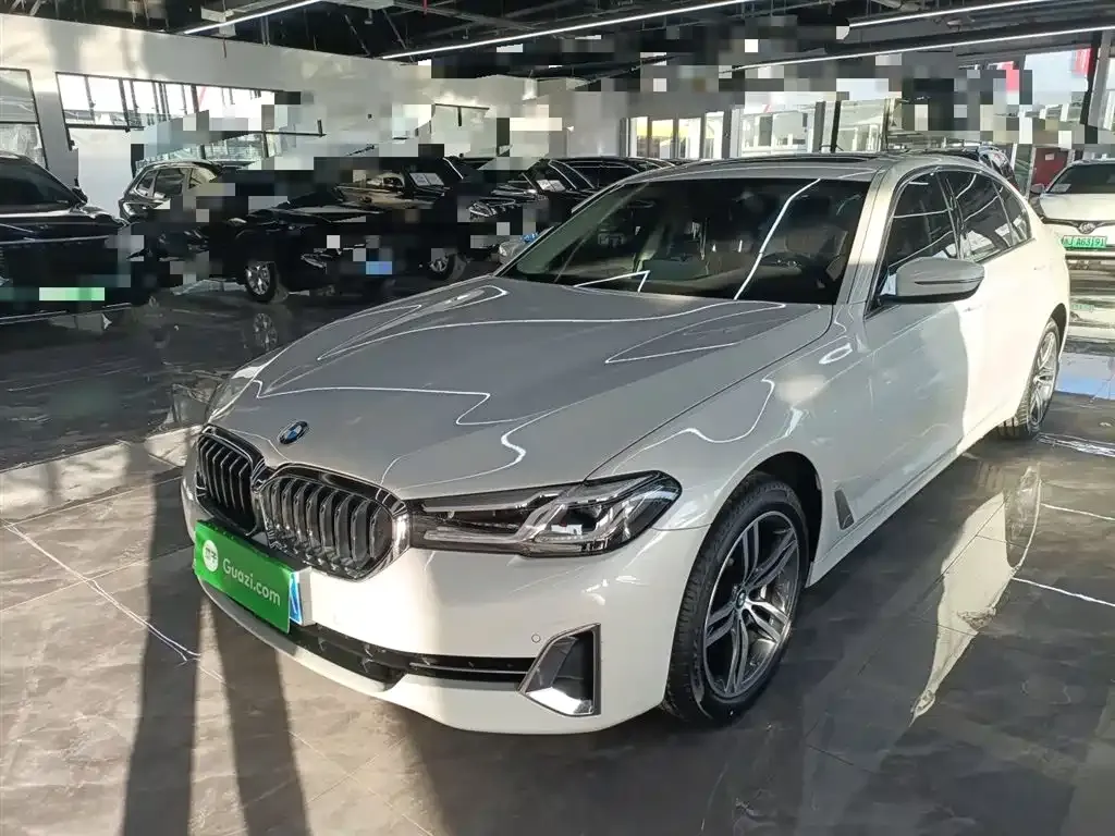 BMW 5 Series 2023 из CN, фото 8