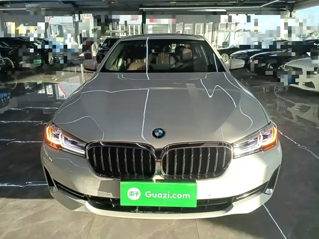 BMW 5 Series 2023 из CN, фото 5