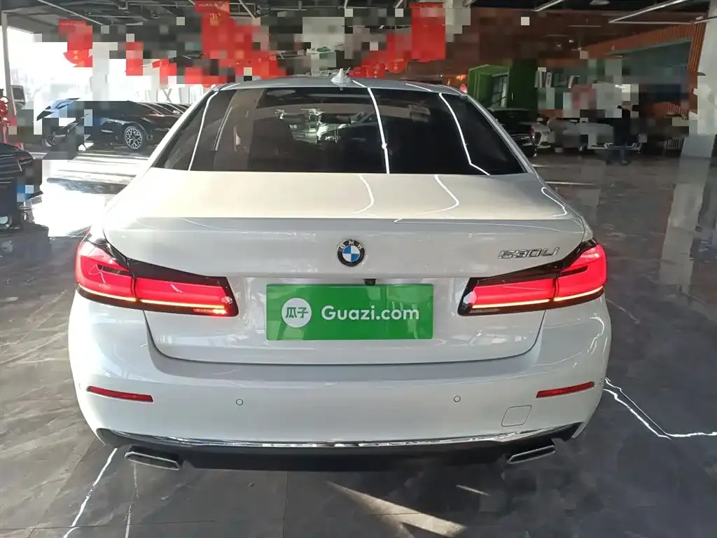 BMW 5 Series 2023 из CN, фото 7