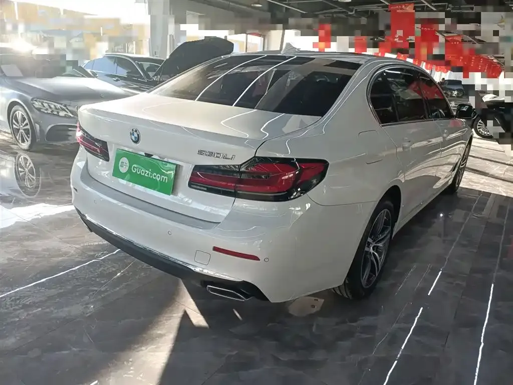 BMW 5 Series 2023 из CN, фото 10