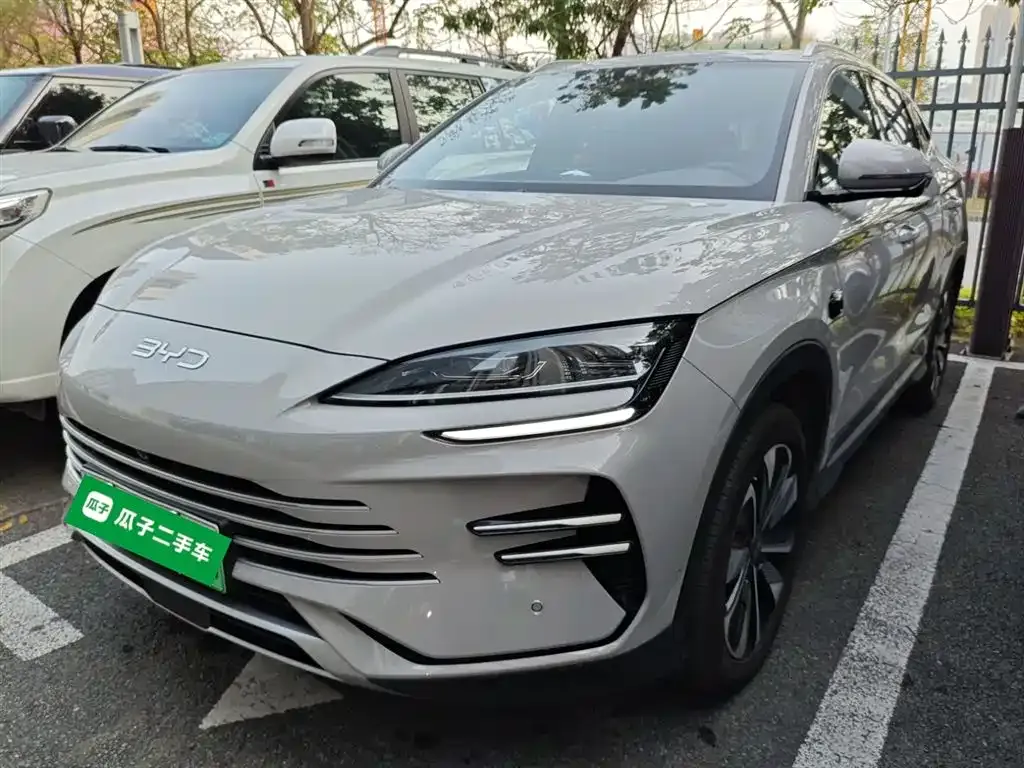 BYD PLUS New Energy 2025 из CN, фото 1