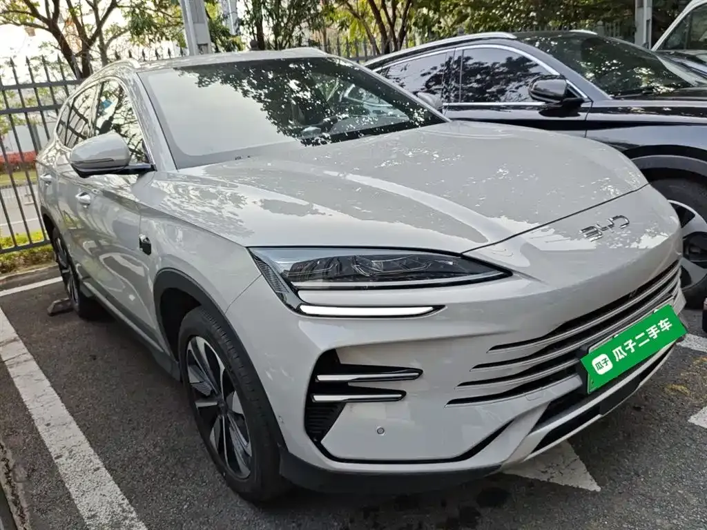 BYD PLUS New Energy 2025 из CN, фото 4