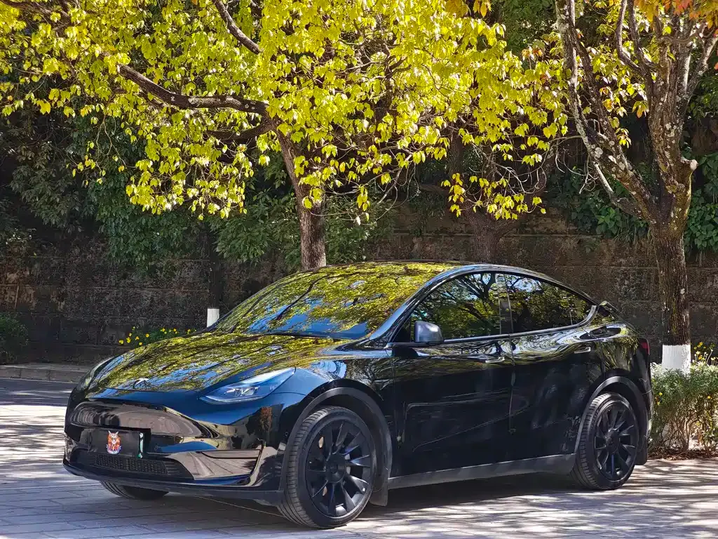 Tesla Model Y 2022 из CN, фото 1