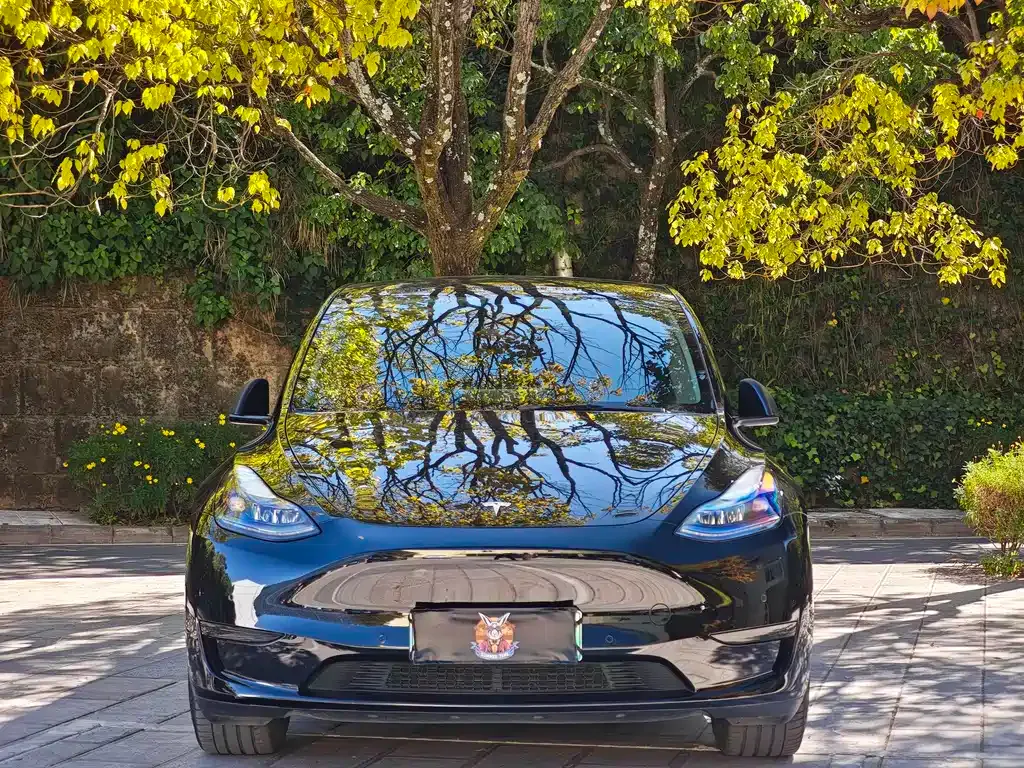 Tesla Model Y 2022 из CN, фото 2