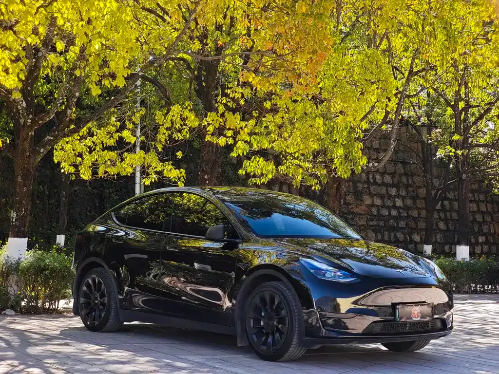 Tesla Model Y 2022 из CN, фото 3
