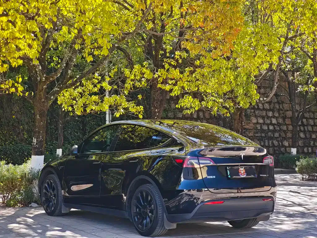Tesla Model Y 2022 из CN, фото 4
