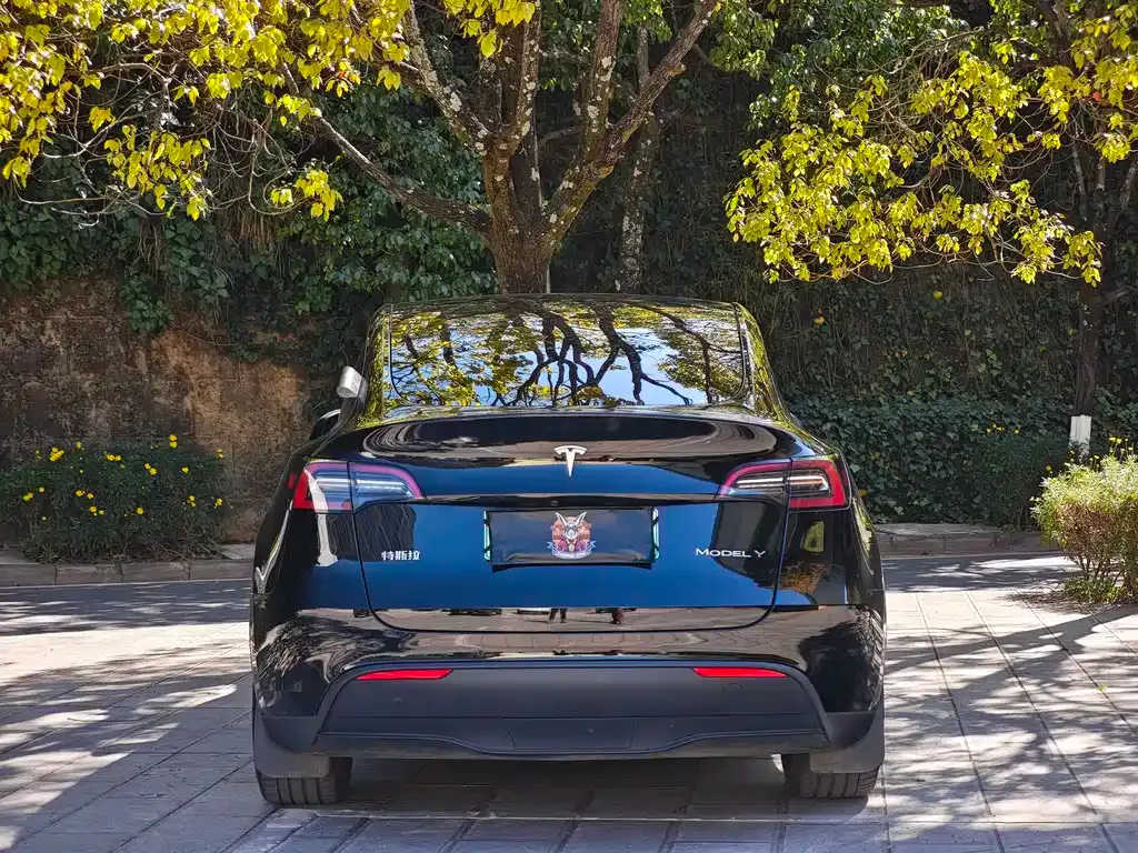 Tesla Model Y 2022 из CN, фото 5
