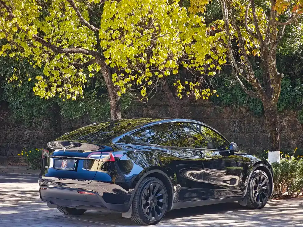 Tesla Model Y 2022 из CN, фото 6