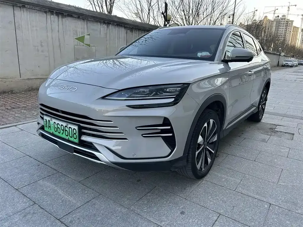 BYD PLUS New Energy 2024 из CN, фото 1