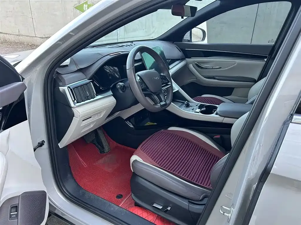 BYD PLUS New Energy 2024 из CN, фото 5