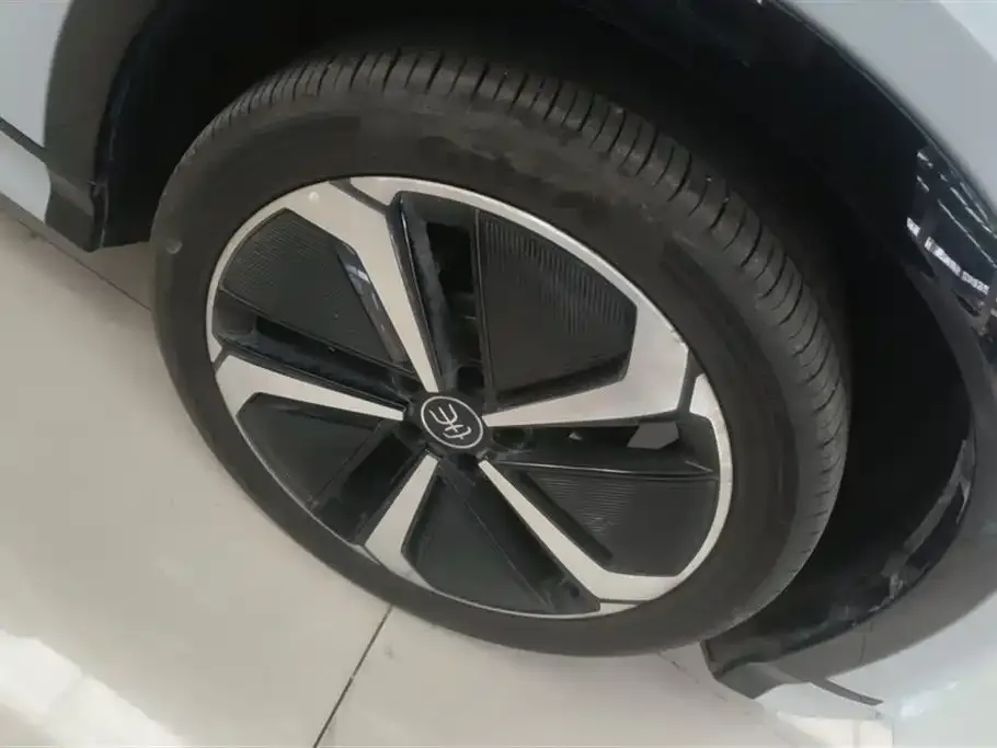 BYD L EV 2025 из CN, фото 3