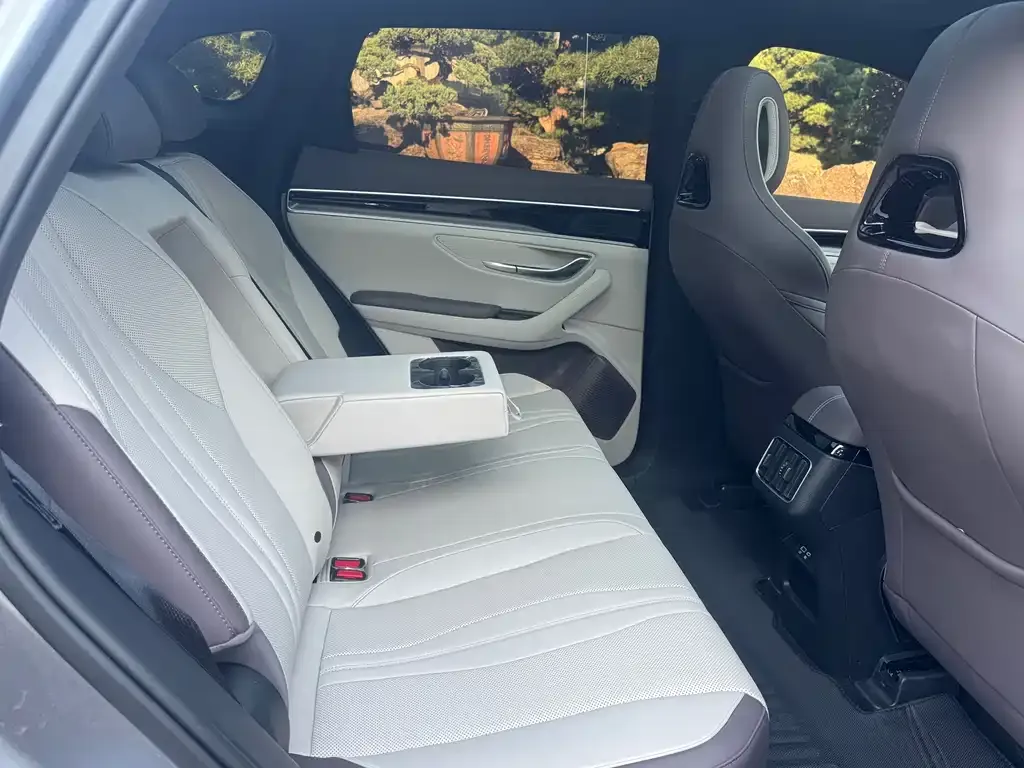 BYD PLUS New Energy 2025 из CN, фото 10