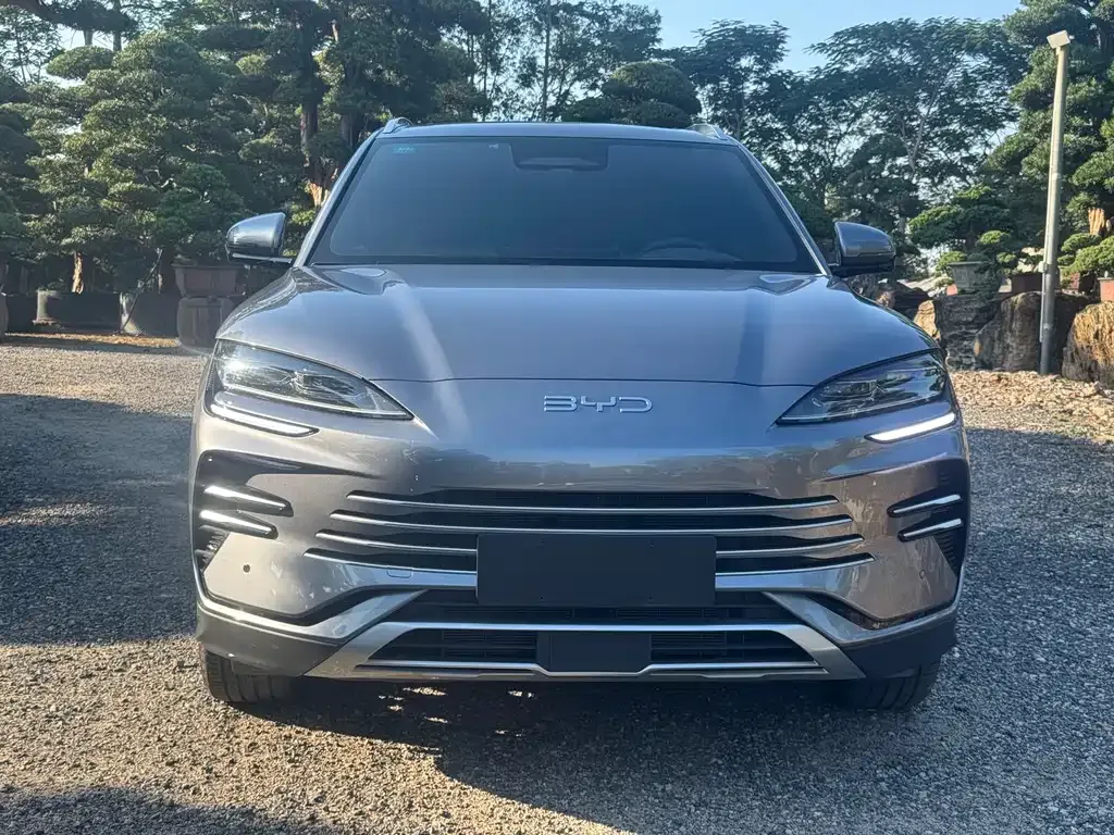 BYD PLUS New Energy 2025 из CN, фото 2