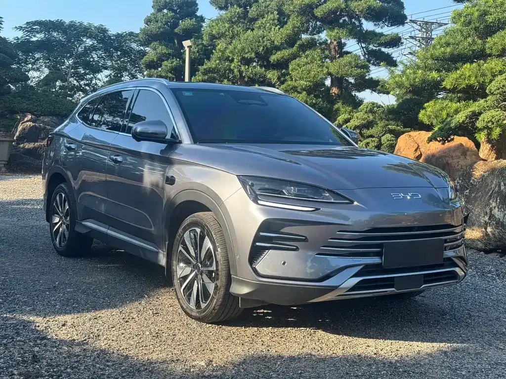BYD PLUS New Energy 2025 из CN, фото 3