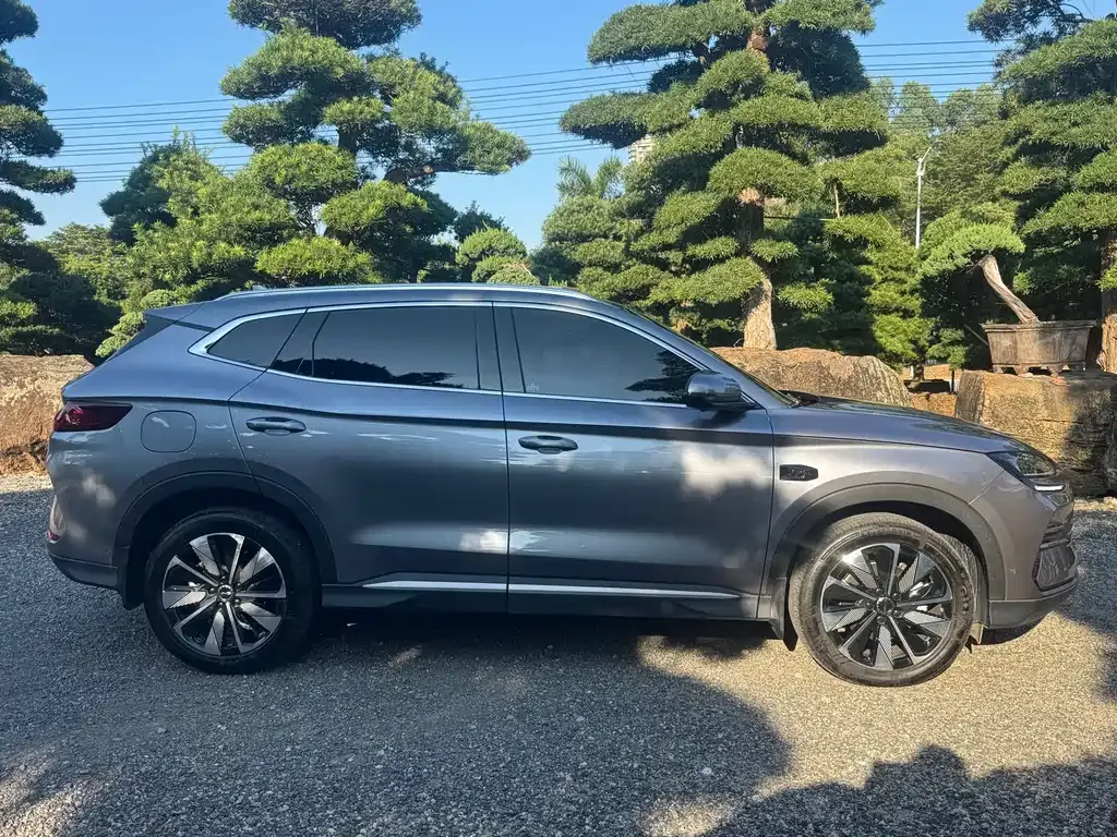 BYD PLUS New Energy 2025 из CN, фото 4
