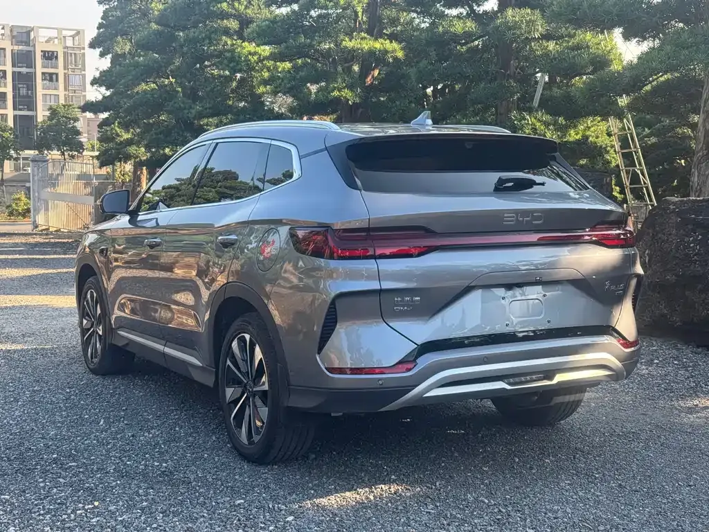 BYD PLUS New Energy 2025 из CN, фото 5
