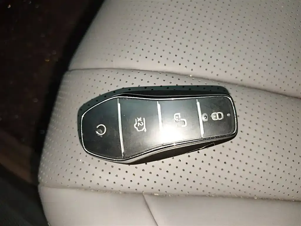 BYD Seal 07 DM-i 2024 из CN, фото 2