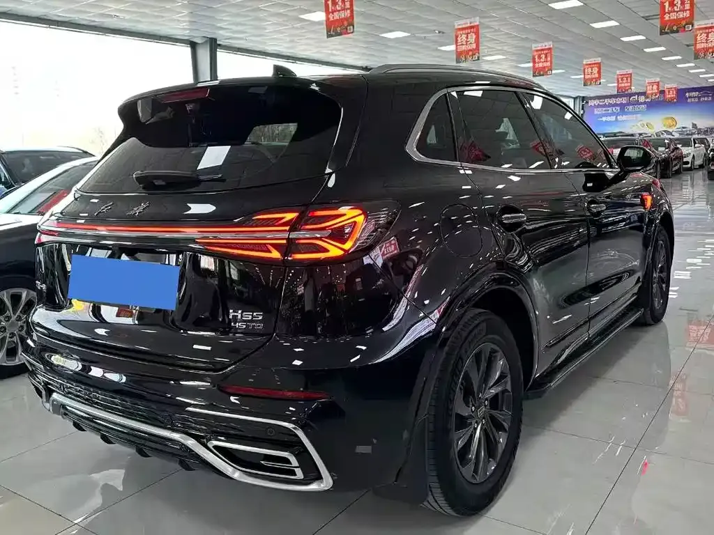 Hongqi HS5 2024 из CN, фото 9
