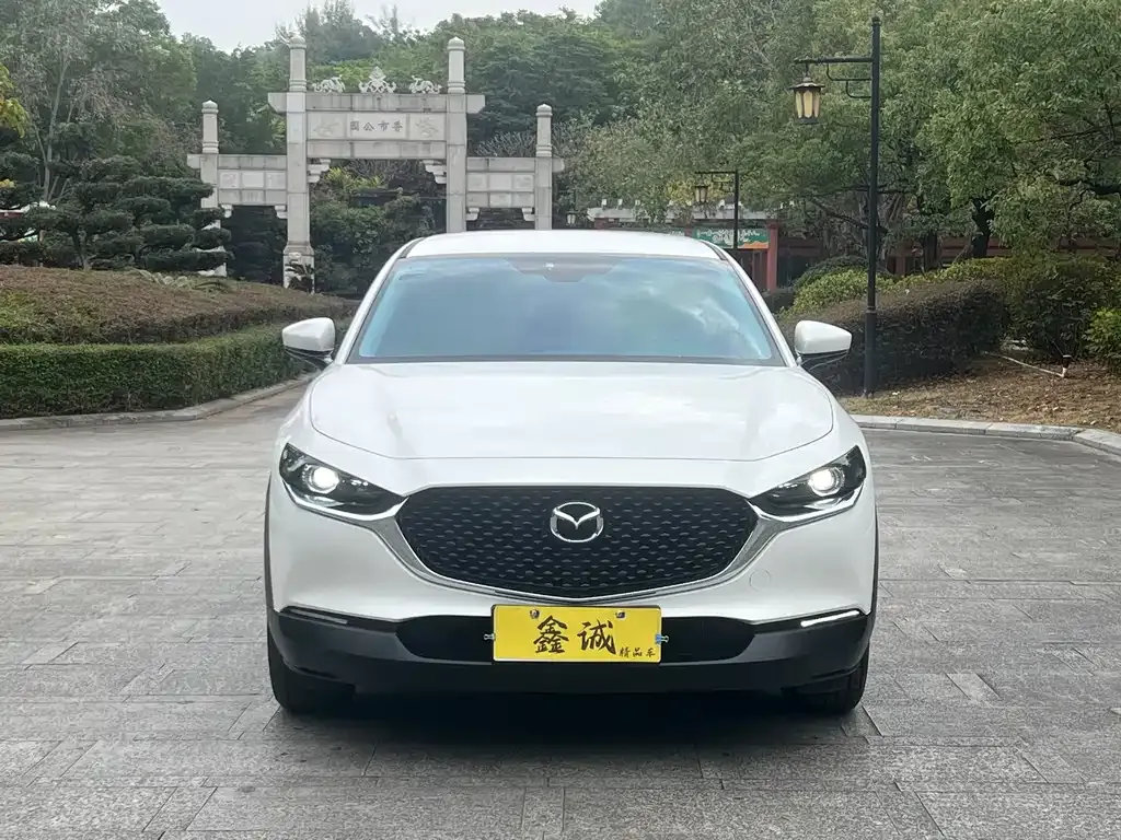Mazda CX-30 2025 из CN, фото 9