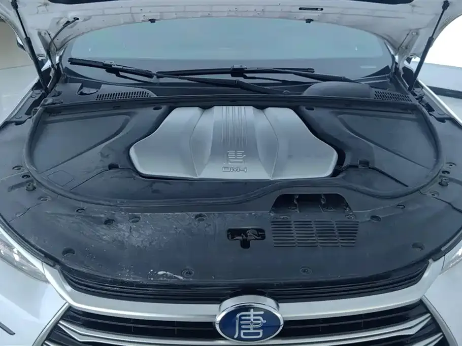 BYD Tang New Energy 2022 из CN, фото 10