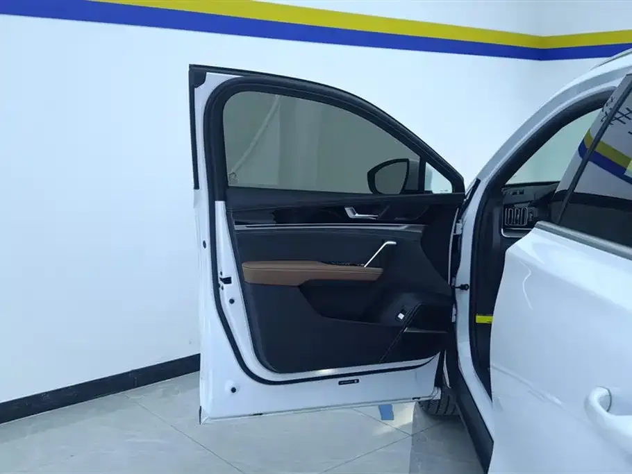 BYD Tang New Energy 2022 из CN, фото 2